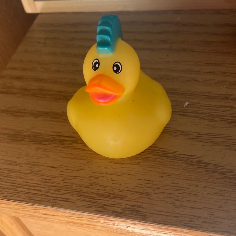 Punk rubber duck